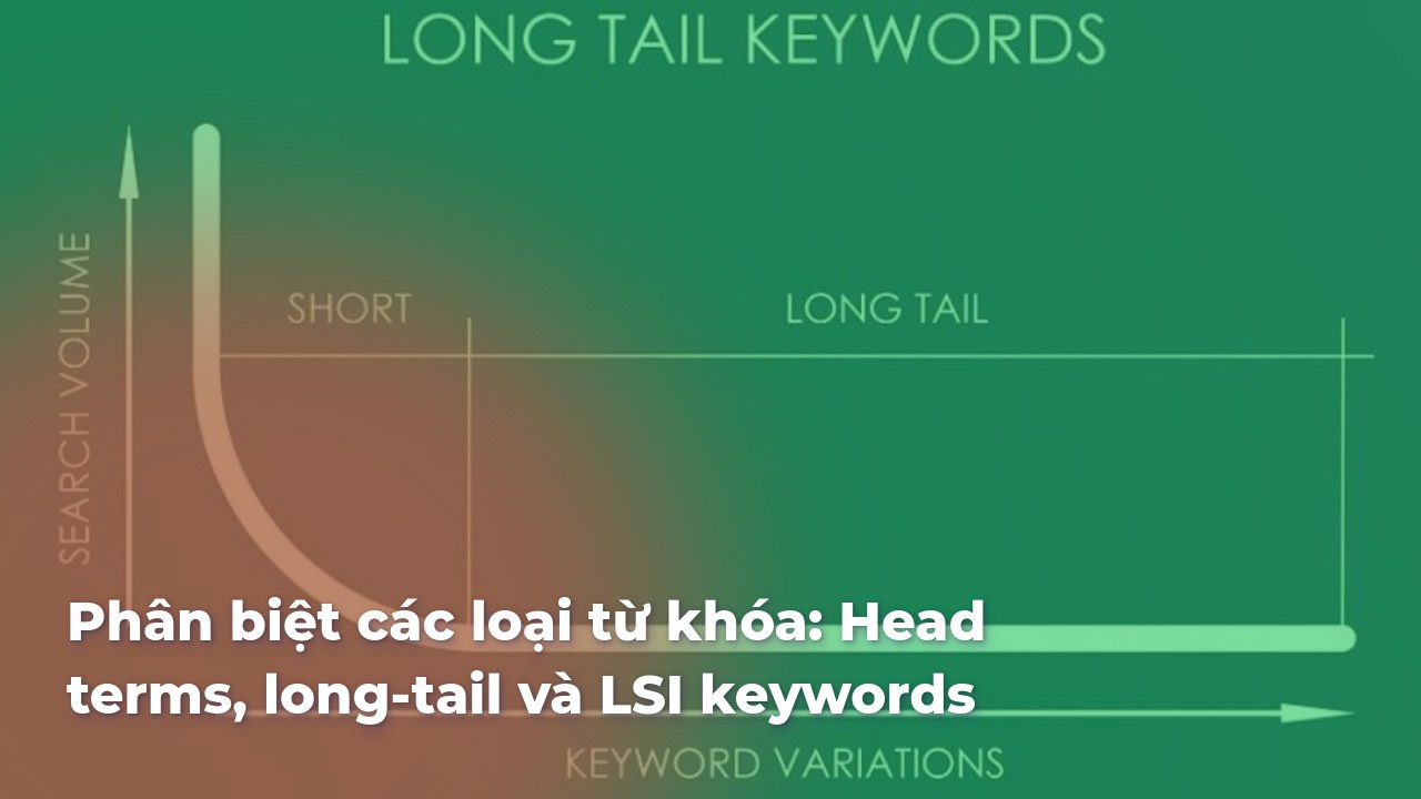 Phân biệt các loại từ khóa: Head terms, long-tail và LSI keywords